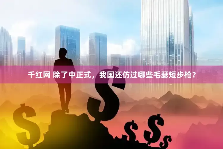 千红网 除了中正式，我国还仿过哪些毛瑟短步枪？