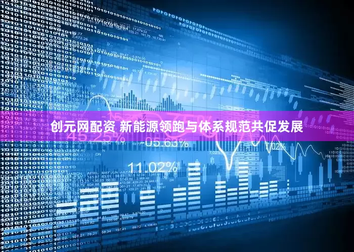 创元网配资 新能源领跑与体系规范共促发展