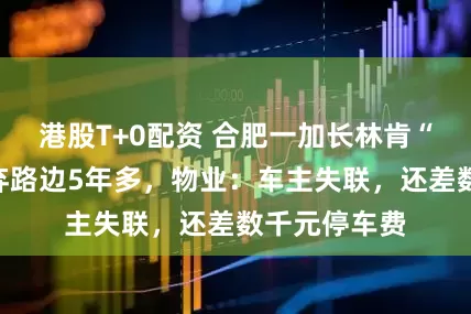 港股T+0配资 合肥一加长林肯“僵尸车”被弃路边5年多，物业：车主失联，还差数千元停车费