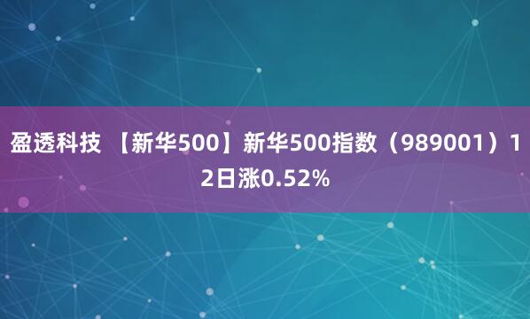 盈透科技 【新华500】新华500指数（989001）12日涨0.52%
