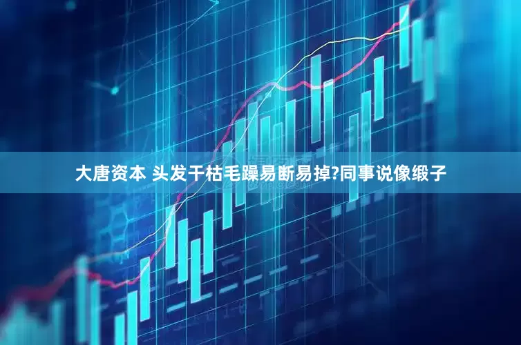 大唐资本 头发干枯毛躁易断易掉?同事说像缎子