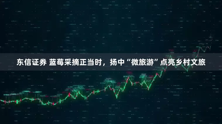 东信证券 蓝莓采摘正当时，扬中“微旅游”点亮乡村文旅