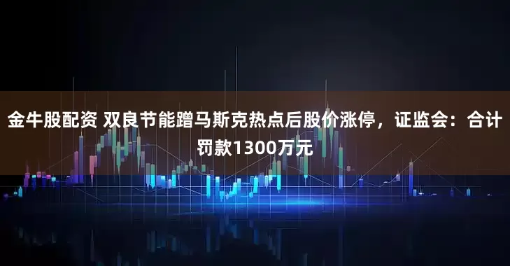 金牛股配资 双良节能蹭马斯克热点后股价涨停，证监会：合计罚款1300万元